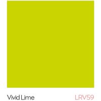 Hi-Clad PVC Hygienic Cladding Sheet 3050mm x 1220mm x 2.5mm Vivid Lime | 3.72m2