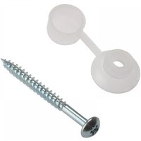 Forgefix 10CRSC Corrugated Roofing Screw Round Head Pozi Zp 5Mm X 50Mm Bag 10