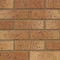 Ibstock Catty Bristol Buff Multi Facing Brick 65mm | Pack of 500