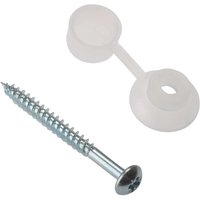 Fandf 10CRSC Corrugated Roofing Screw - Zinc Plated  2in X 10 Screw (Bag Of 10)