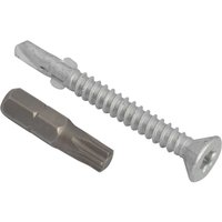 Techfast TFCL4838 Roofing Screw - Timber To Steel - Light Section  4.8 X 38Mm (Bag Of 100)